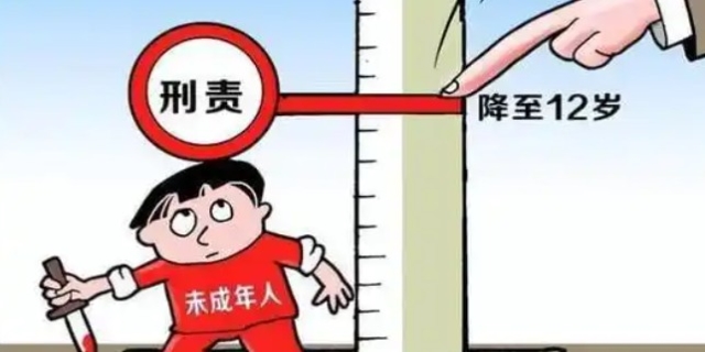 未成年人犯罪的刑事责任认定，挑战与应对
