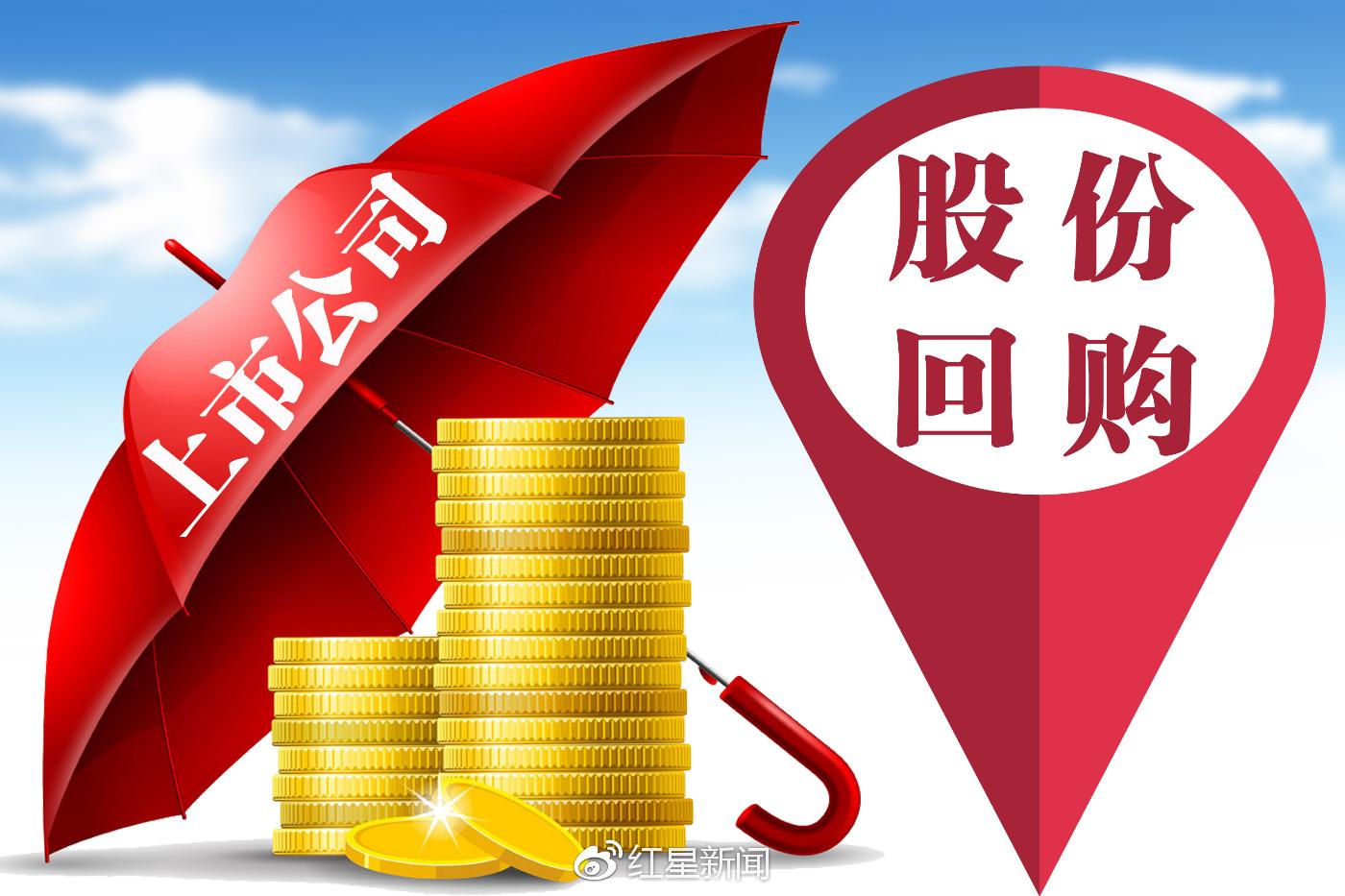 股东会决议法律效力深度解析，内涵与外延探究