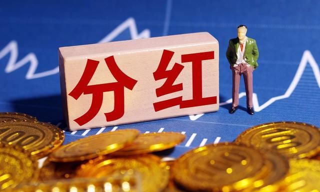 股东以公司名义借款的风险与责任解析，法律风险及后果探讨