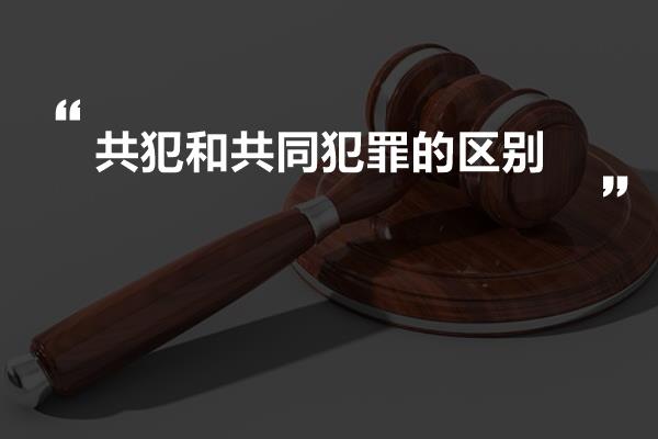 共同犯罪的刑事责任如何区分