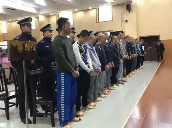组织卖淫罪的法律后果全面解析