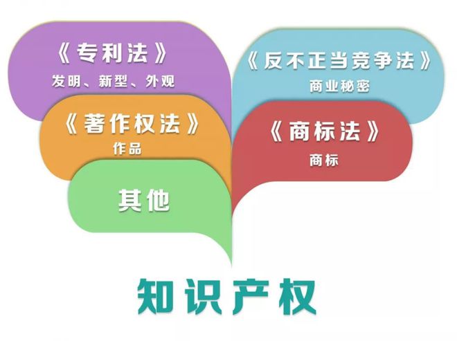 知识产权许可与转让的法律差异解析