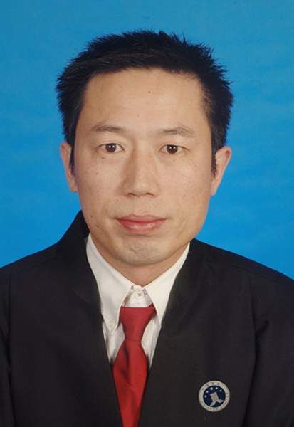 安徽省律师案例查询，探索法律实务的重要工具