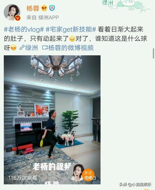 律师网络视频走红策略与实践指南