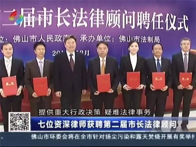 巢湖刑事大律师顾问收费详解