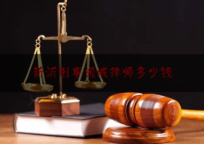 新沂刑事领域律师网，专业法律服务助力刑事司法公正