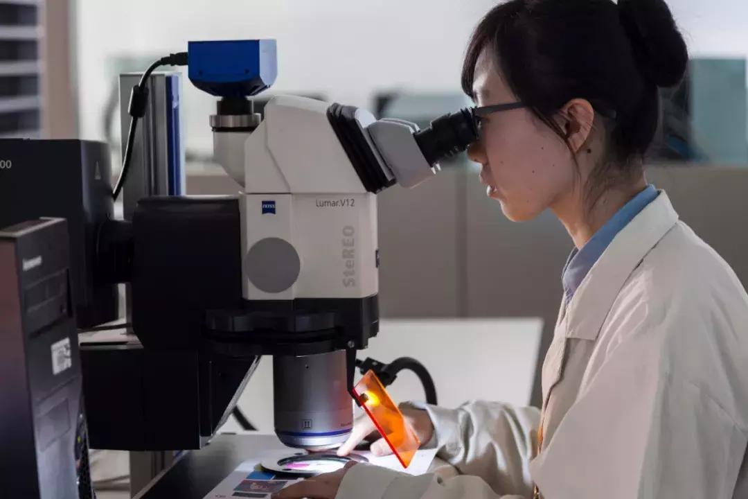 委托律师进行鉴定所需的时间解析