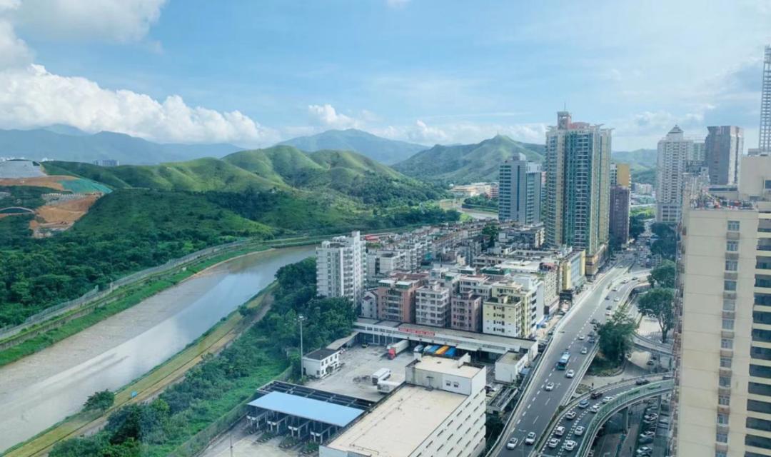 深圳市保释律师咨询，解读法律程序中的关键一环