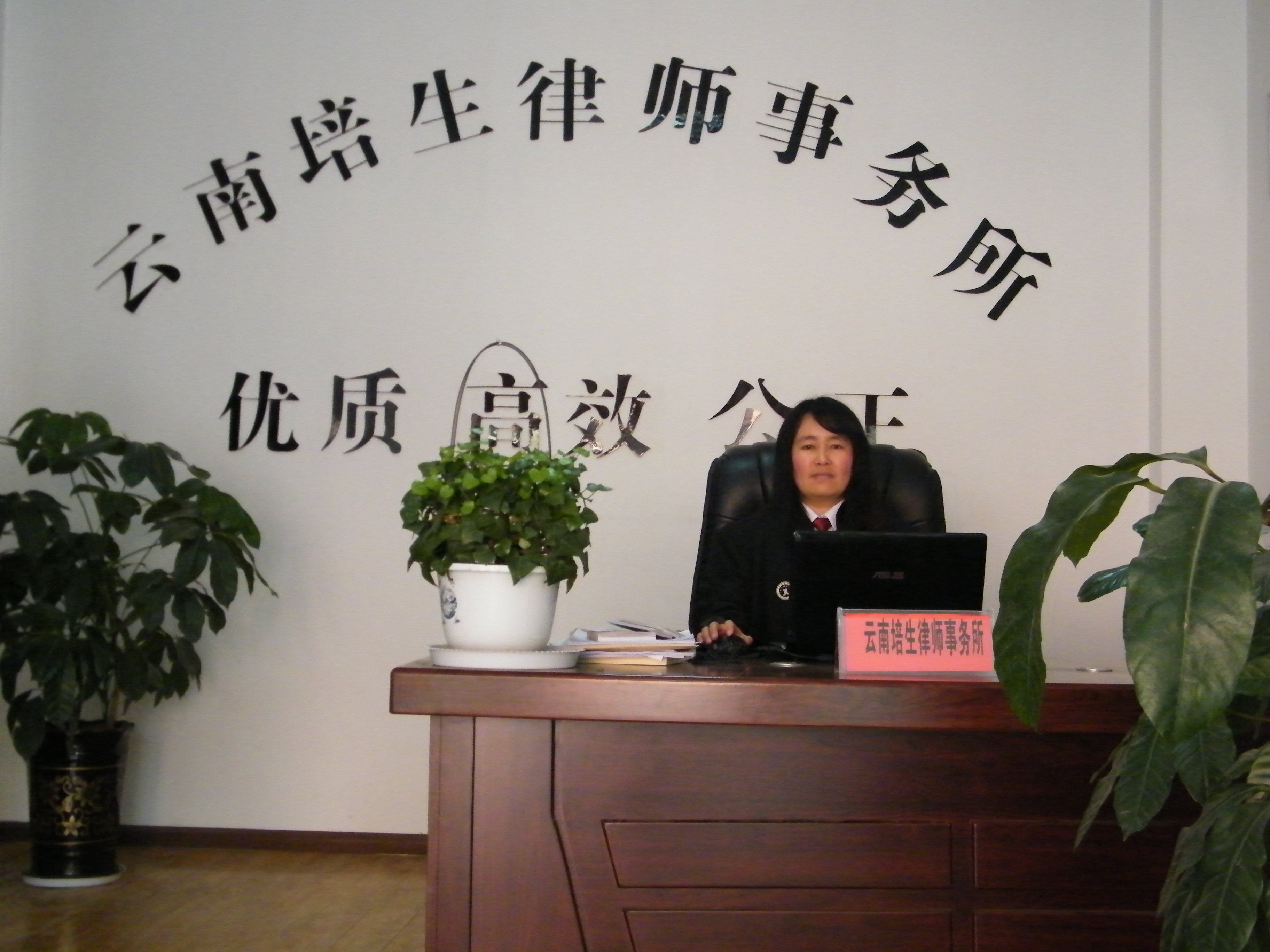 昆明盘龙区债务合同律师——专业法律服务助力债务管理