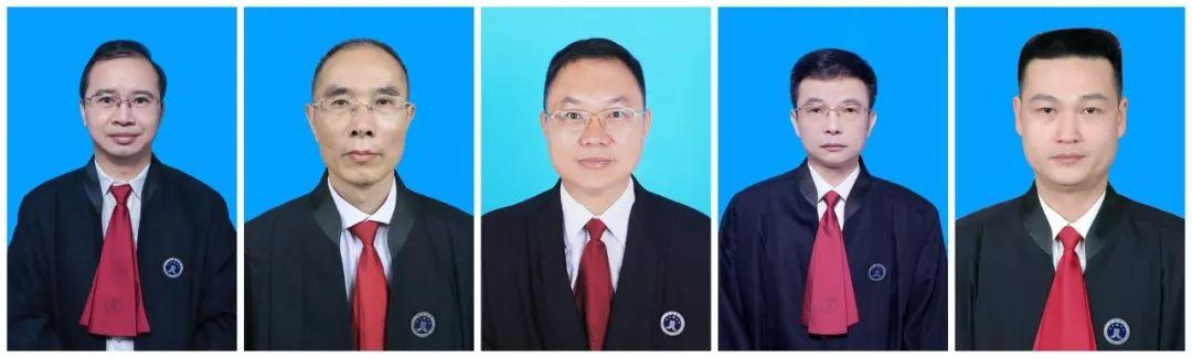 律师网站建设对比解析，哪家更优秀？深度研究与推荐