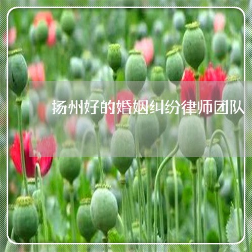 扬州离婚纠纷律师收费解析