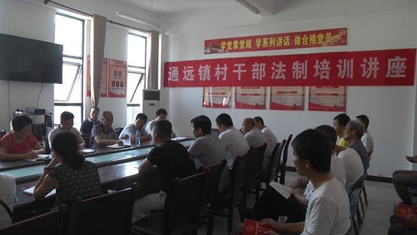 提升村干部法治素养与治理能力，组织律师授课活动
