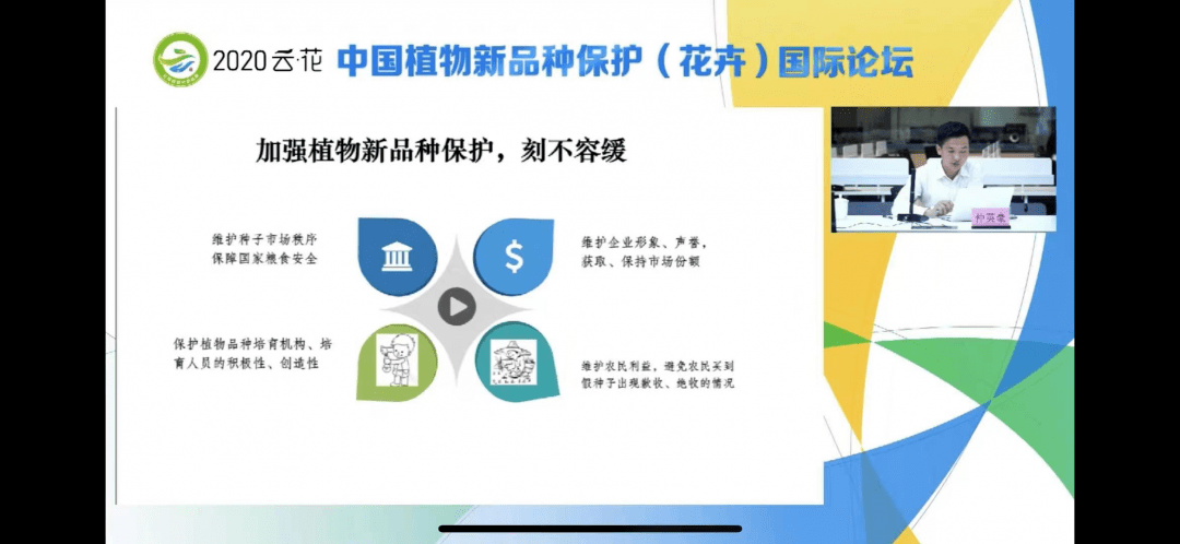 何廷婷律师——法律领域的耀眼明星，盈科律师事务所的杰出代表