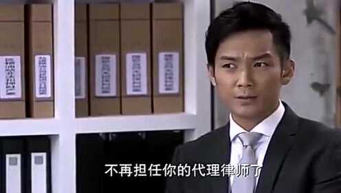 律师拍马屁视频，职业与娱乐的交融时刻