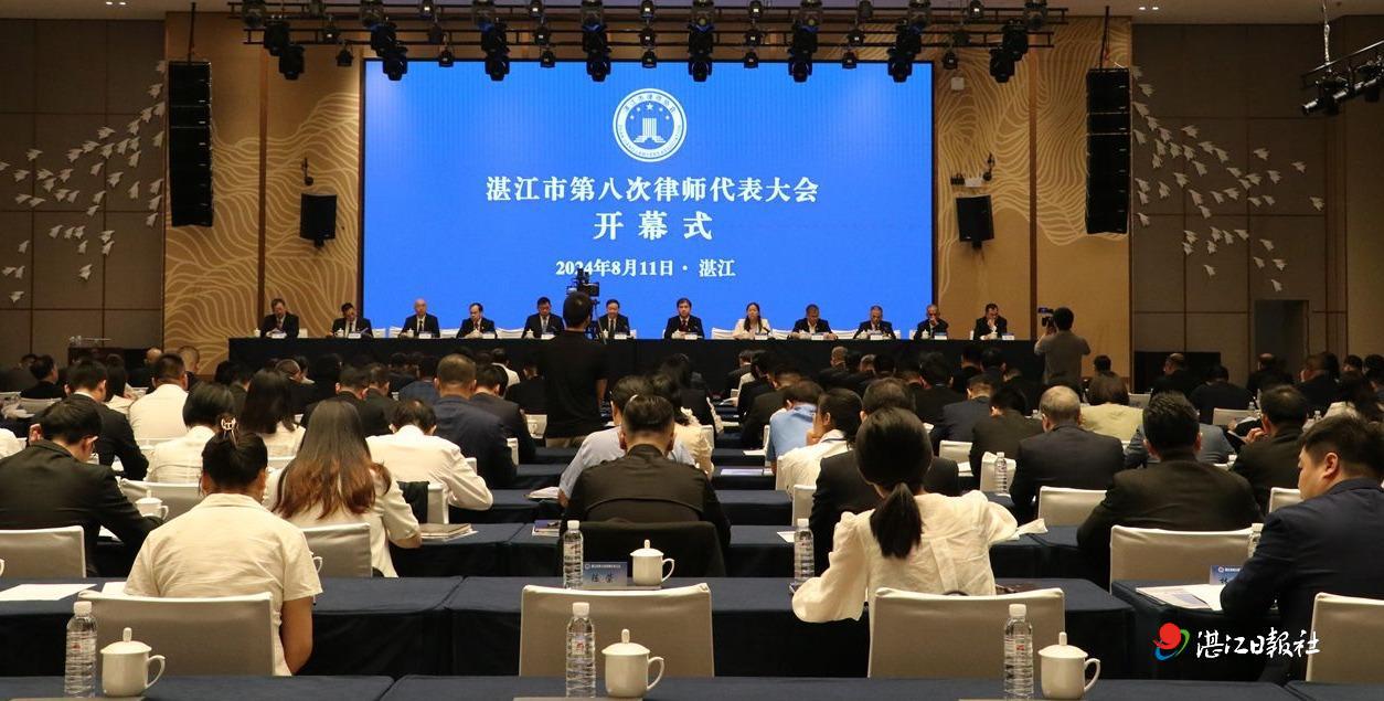 湛江市律师行业概况