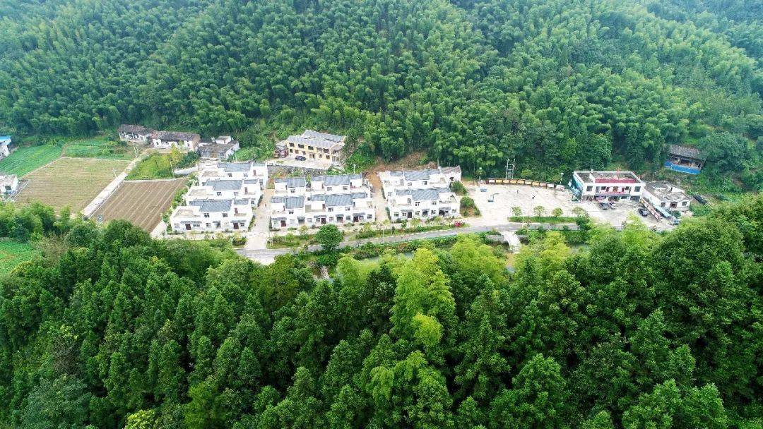 漾濞离婚律师排名前十——专业解析婚姻法律疑难