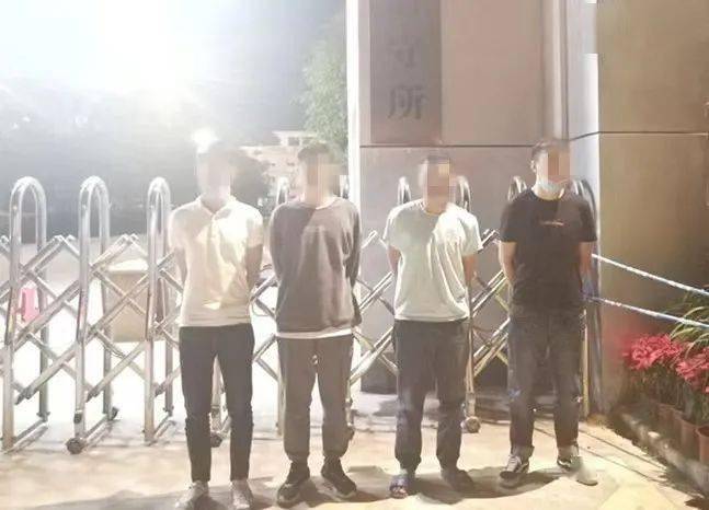 洛龙区刑辩律师的专业服务，位置与影响力