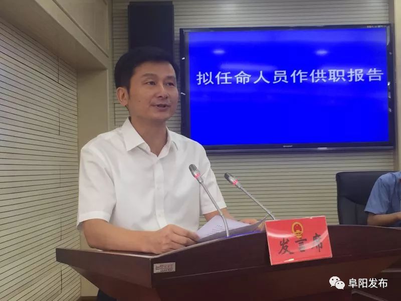 阜阳律师张琳娜的职业生涯成就概览