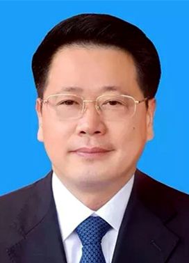 阜阳律师张琳娜的职业生涯与成就概览