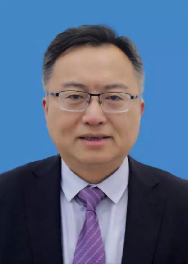 阜阳律师张琳娜的职业生涯与成就概览
