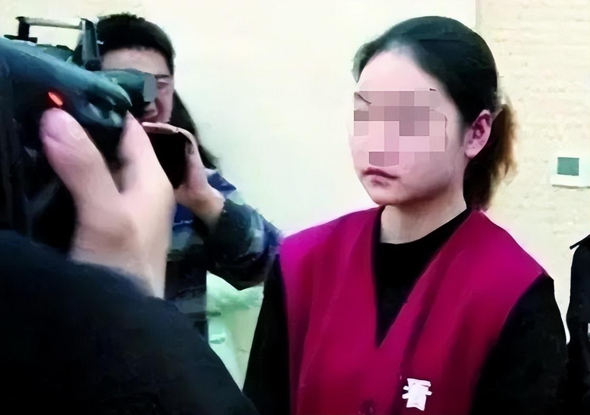 女律师与保姆房子的电影故事
