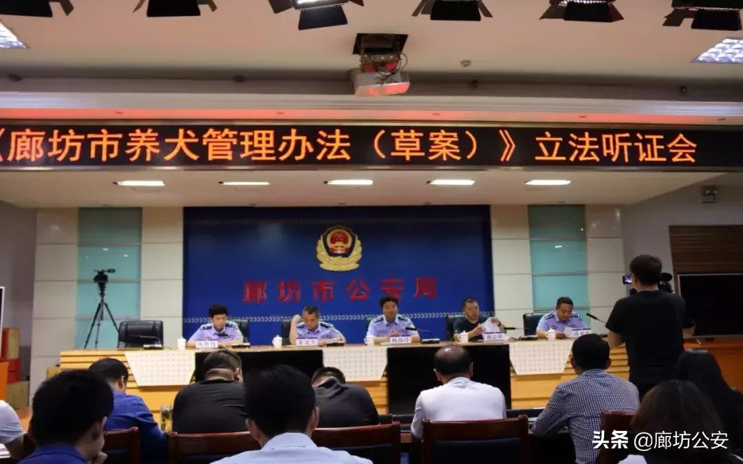 廊坊法律咨询刑事律师，专业解读法律疑难，护航正义之路