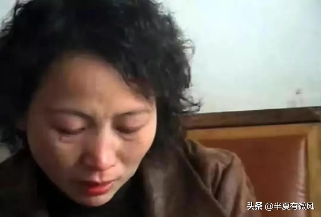 麻阳地区律师所全面解析