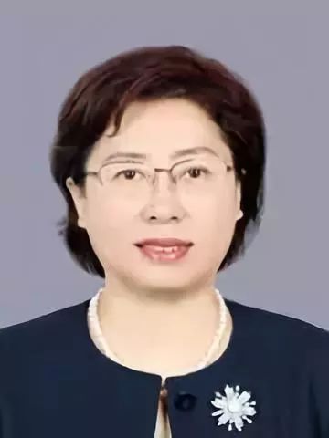 深圳律师陈雯被杀事件真相探究与社会安全反思