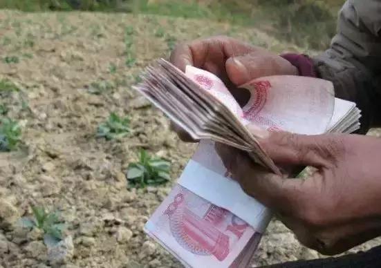 探索法律服务的新天地，寻找律师的专业网站概览