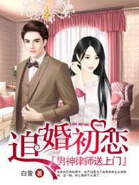 沈司谨律师小说，法律与人性的交织对话