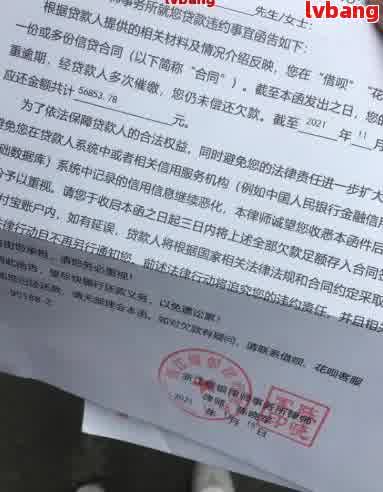 法院起诉是否需要律师，解析法律程序中的专业角色与个人选择