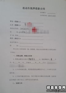 新洲房产合同律师费用详解