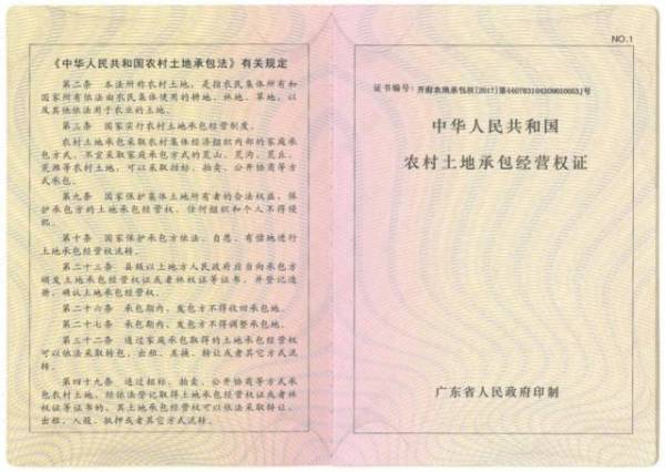 确权证律师办理指南，法律服务内容深度解读
