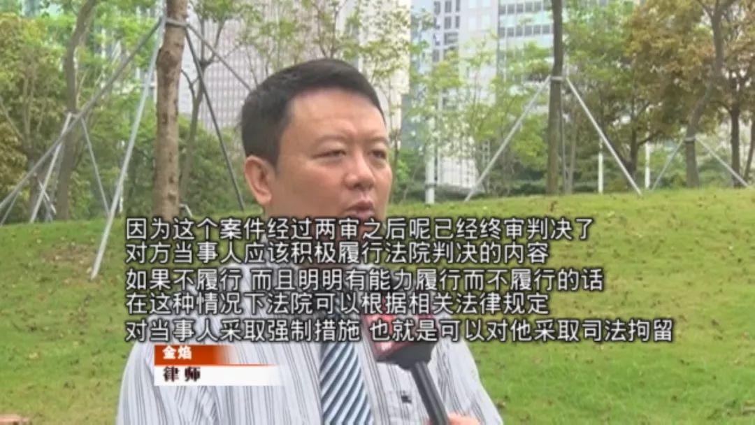 罗湖厂房房产律师解析与比较，哪家专业更胜一筹？
