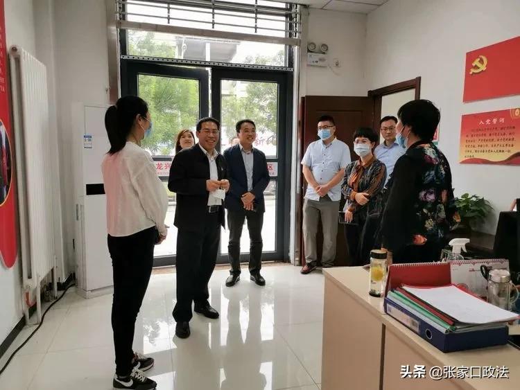 张家口律师调解视频，法律力量助力和谐社会构建