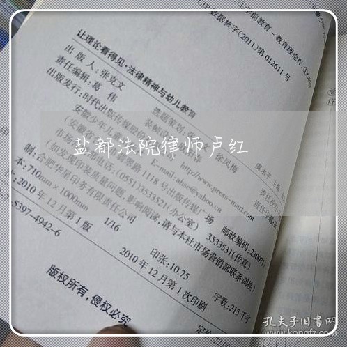 潘集区辩护律师队伍概览