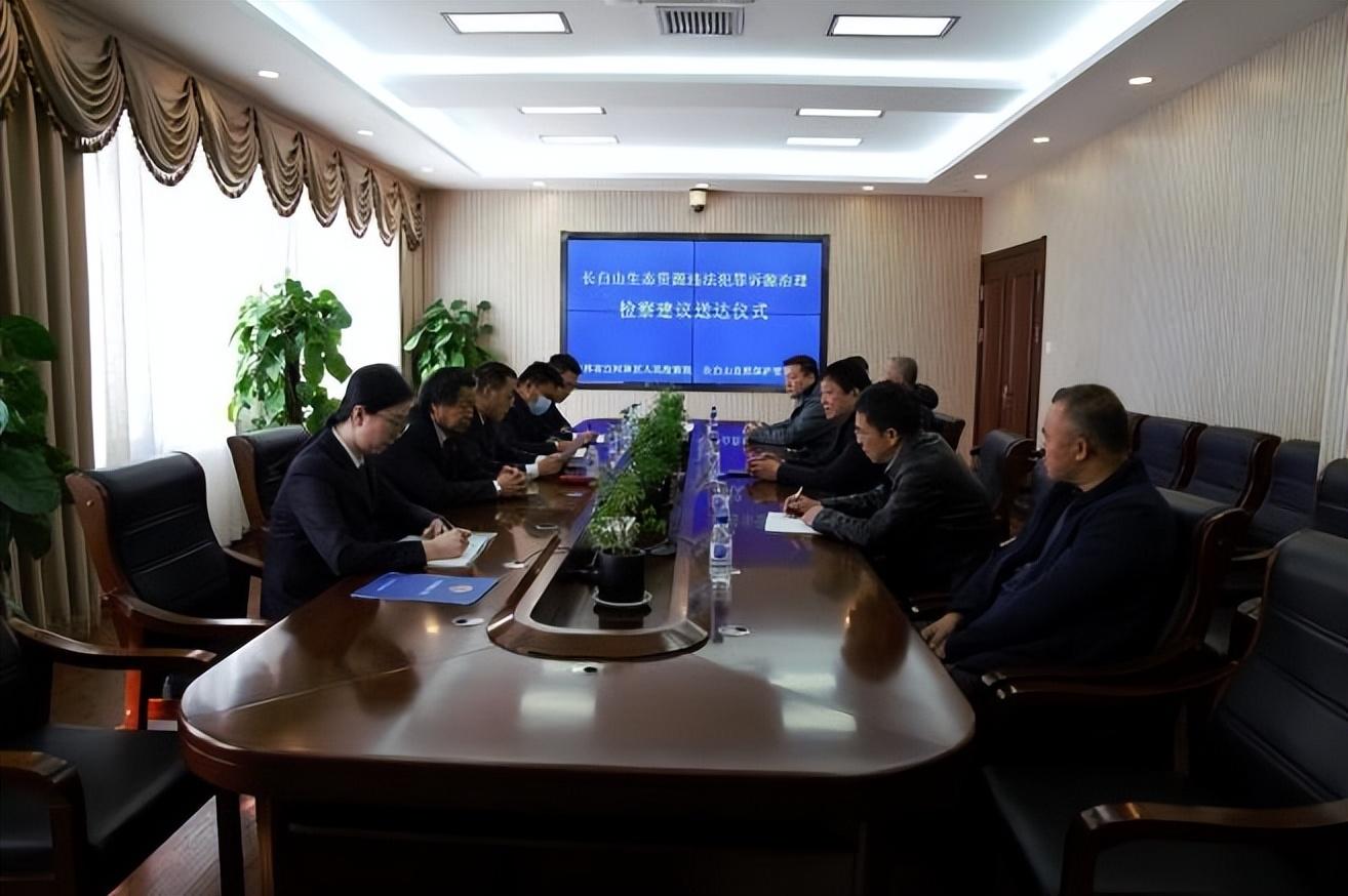 公司内部治理结构的法律规定，构建合规管理体系的关键要素