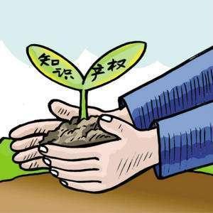 知识产权合同中的独占许可与普通许可，差异与应用