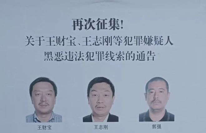 经济犯罪如何争取从轻处罚？