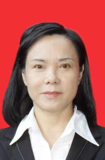 保定专业诉讼律师，法律实践与诉讼策略专家