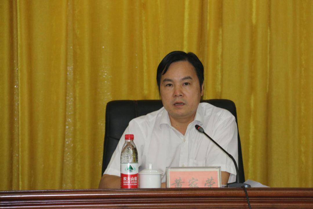 国内律师职业领域与工作范畴概述