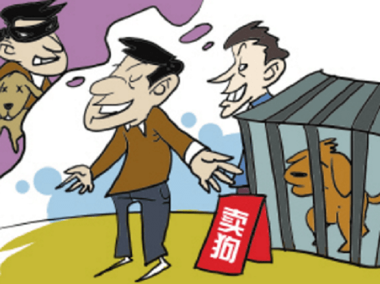 西藏盗窃案律师电话，专业法律服务与维权之路
