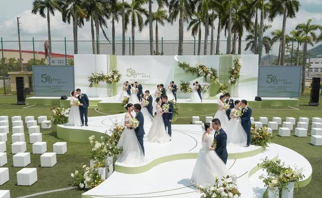 知名婚姻律师价格高的背后原因及其解析