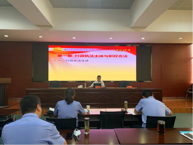 律师可以代替应诉吗？解析法律代理制度中的代理应诉机制