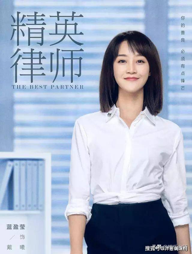 精英律师背后的分析师，深度解析法律案例与策略