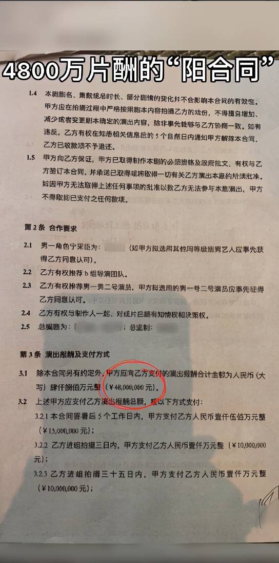 律师带着离婚协议来接亲，婚姻背后的复杂纠葛