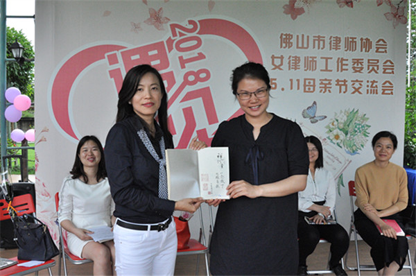 合肥女律师委员会崛起及其影响力探究