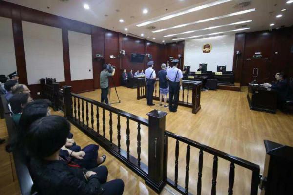 新民二审律师咨询，专业指导，二审护航专家