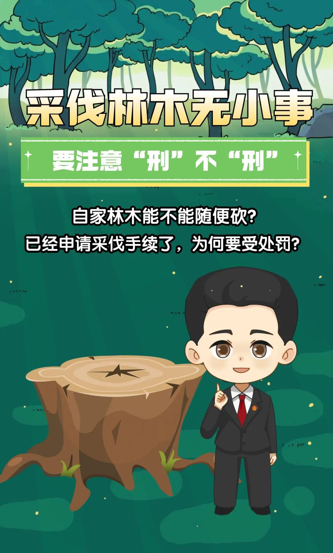 盗伐林木罪与律师免费法律服务，探究与解析