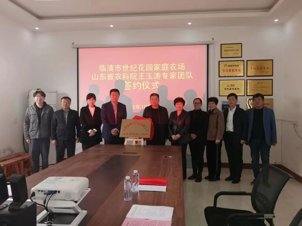 临清市企业律师咨询，助力企业稳健发展